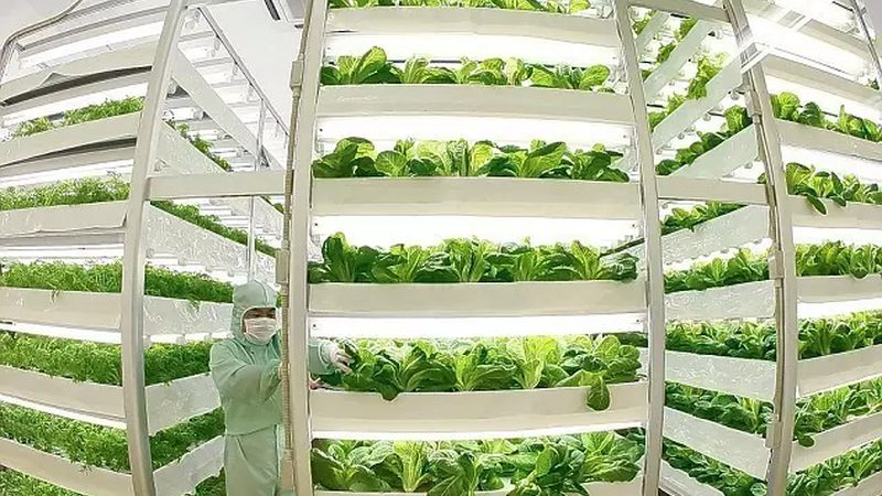 在山东众多水果种植基地中，以下几家生产厂家具有较高的知名度和良好口碑：