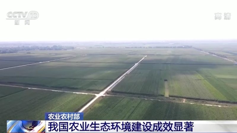 商用无土栽培水果设备哪家好