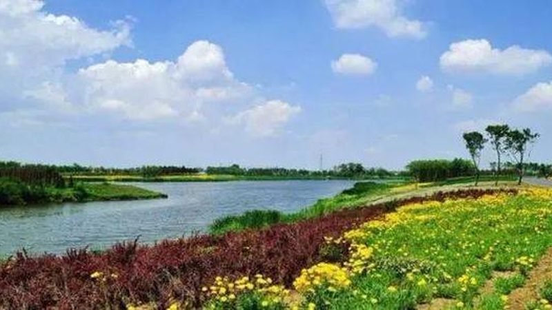 消费者在购买绿色食品、无公害食品和有机食品时，应关注以下方面：
