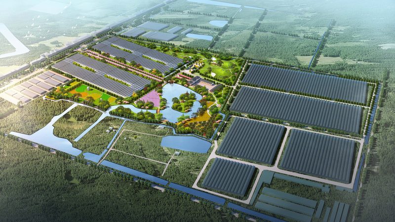 粮食种植技术培训定制方案
