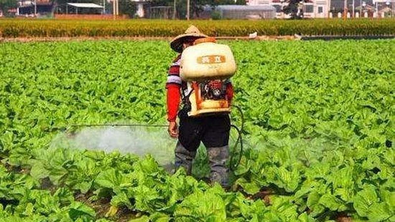 农田墒情监测：精准农业的“晴雨表